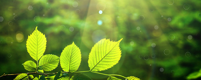 header-foto-groene-stroom